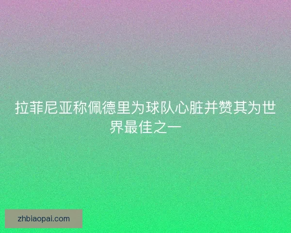 拉菲尼亚称佩德里为球队心脏并赞其为世界最佳之一